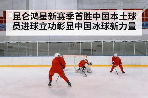 chinese ice hockey team